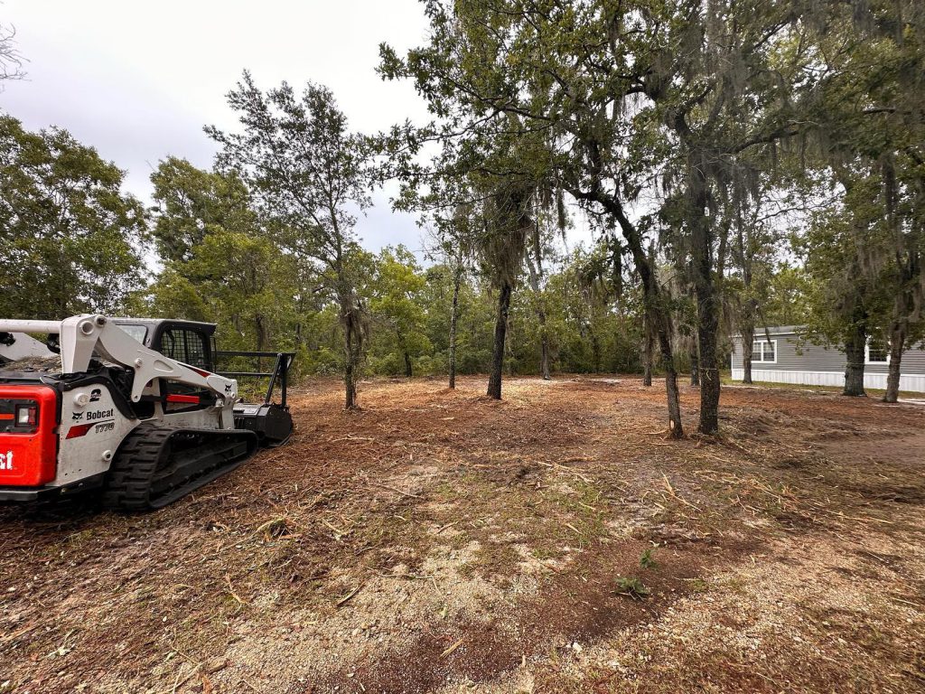 professional land clearing being done