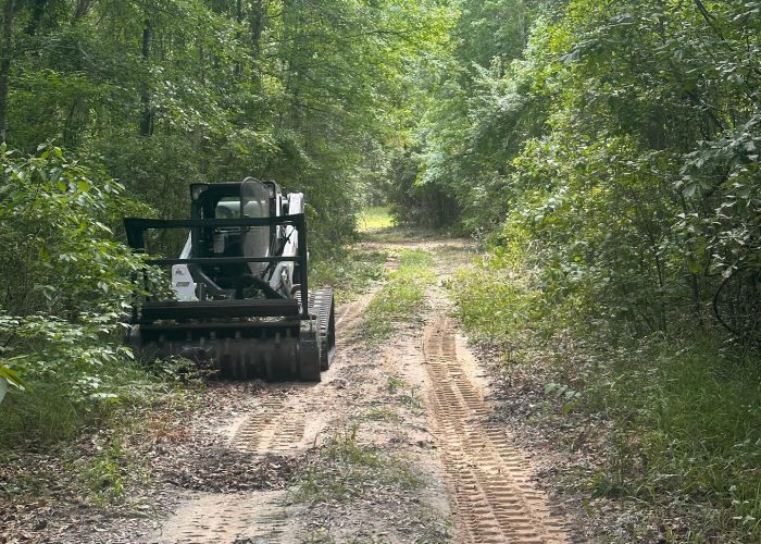 land clearing services being done for a client in perry fl